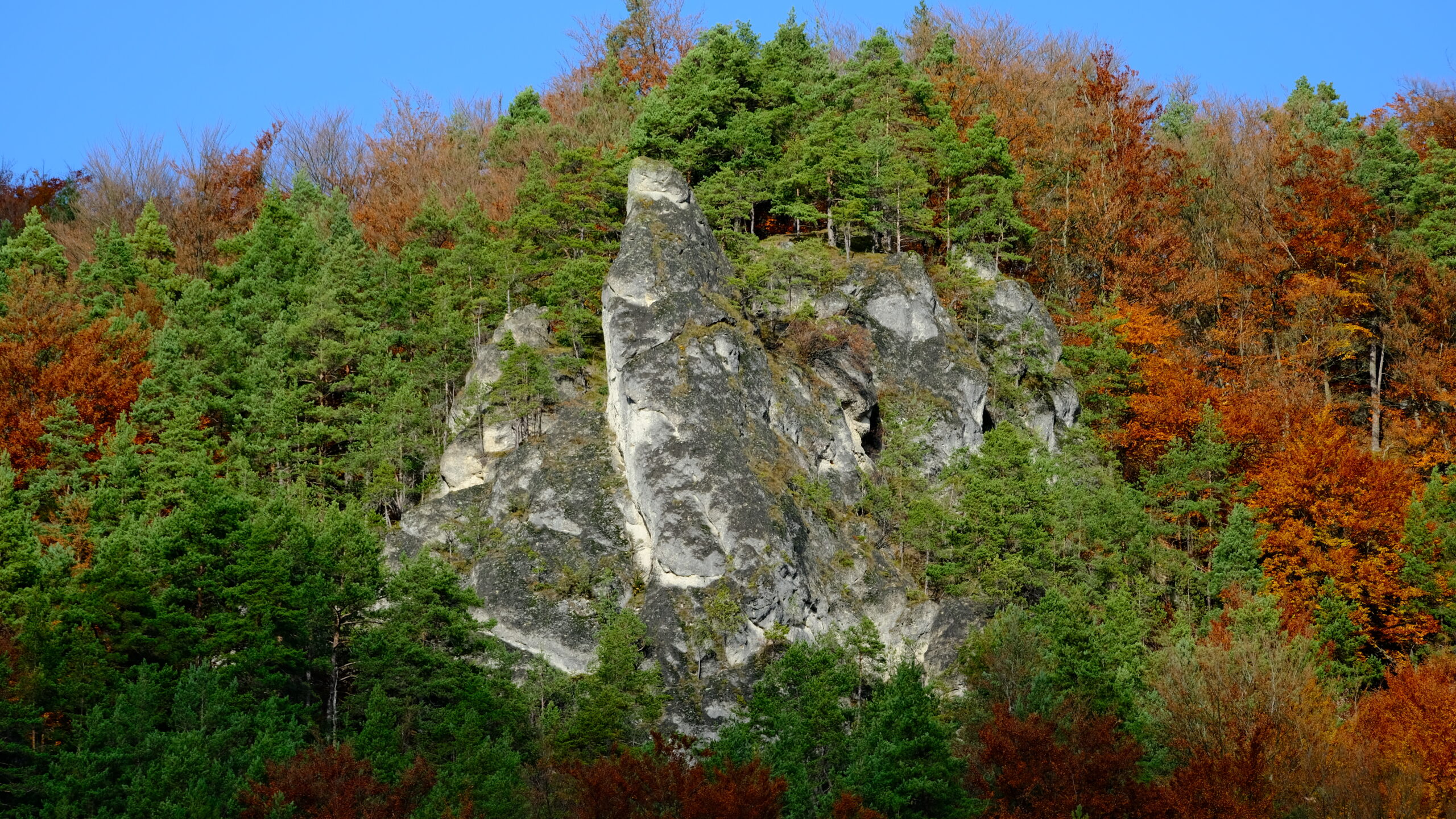 DSCF3918