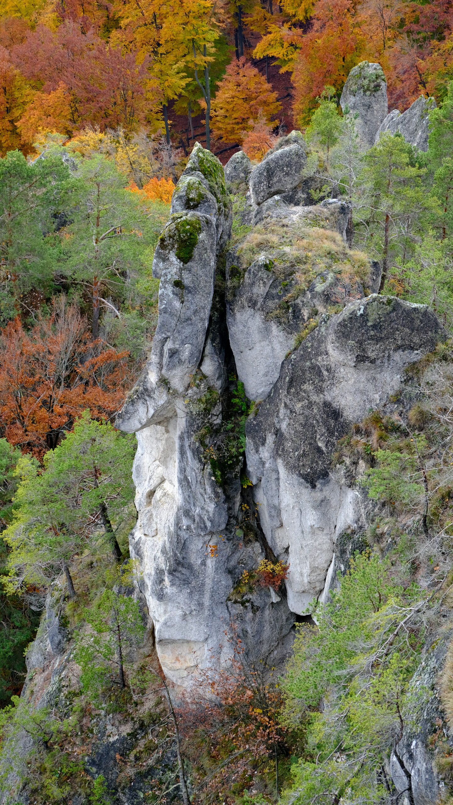 DSCF3986