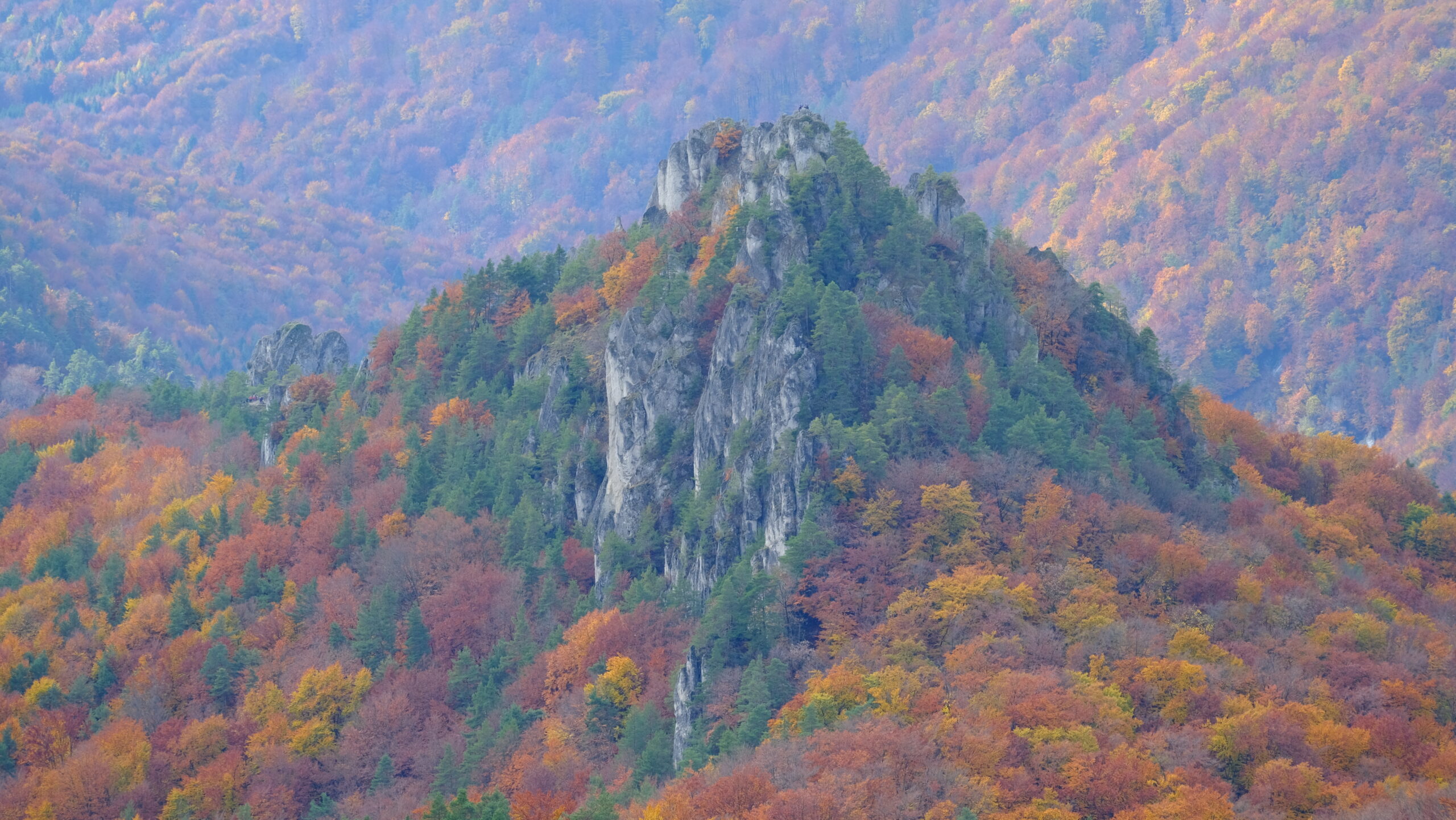 DSCF3987