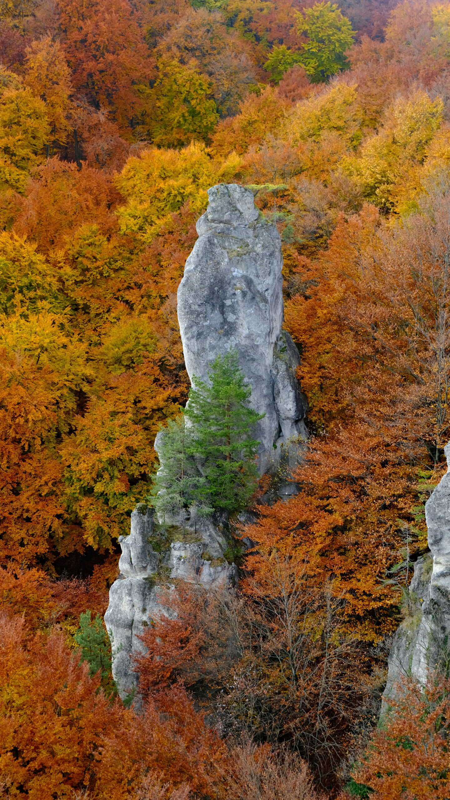 DSCF4005